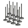 Supertech Black Nitrided Intake Valve - Set of 12 | VR30DDTT (NIVN-1070-12)