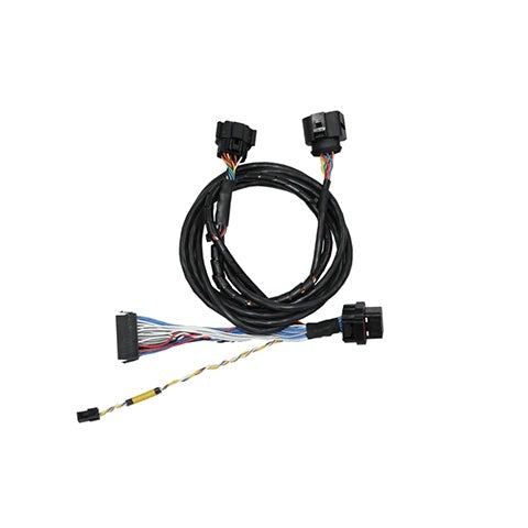 Fueltech FT350 to FT450 Adapter Harness w/ Nano (2002005767)
