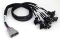 Haltech Nexus V8 Junior Timer (Ev1) Injector Primary Breakout (HT-186000)