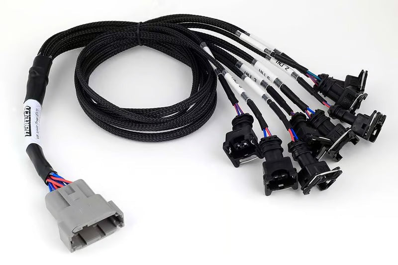 Haltech Nexus V8 Junior Timer (Ev1) Injector Primary Breakout (HT-186000)