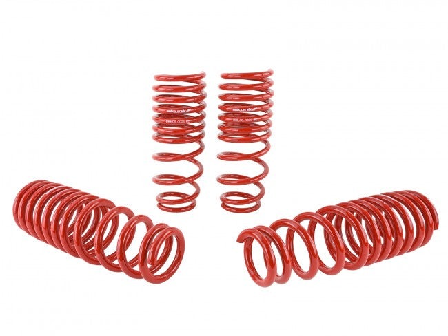 Skunk2 Lowering Springs | 1992-1995 Honda Civic (519-05-1480)