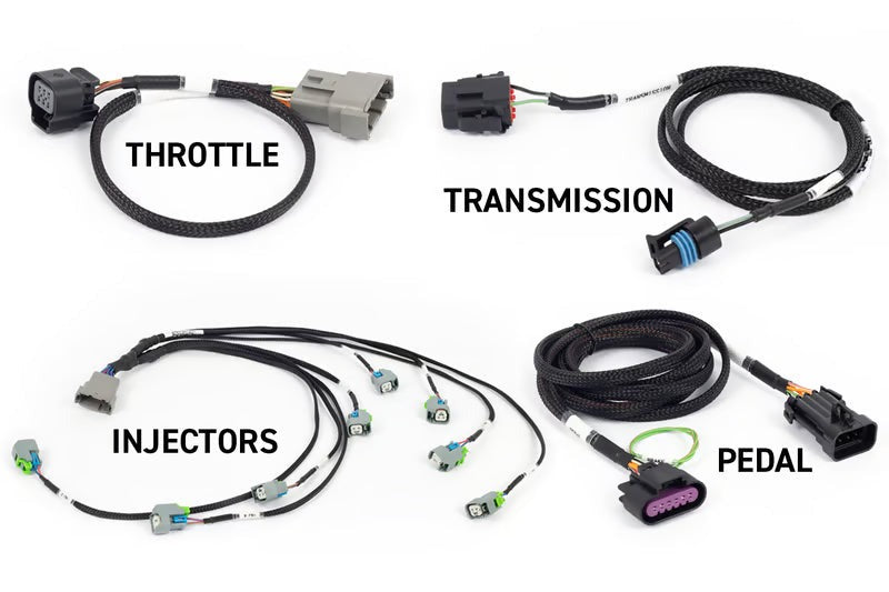 Haltech NEXUS Rebel LS - Suits Gen IV | Gen IV LS Engine (HT-220204)