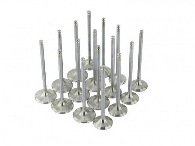 Skunk2 Alpha Valves STD Comp Set - 33mm / 28mm | 1999-2000 Honda Civic Si, 1994-1997 Honda Del Sol VTEC, 1992-2001 Acura Integra GS-R/Type-R (310-05-1310)