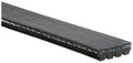 Gates Micro-V Belt | 1996-2000 Honda Civic (K040305)