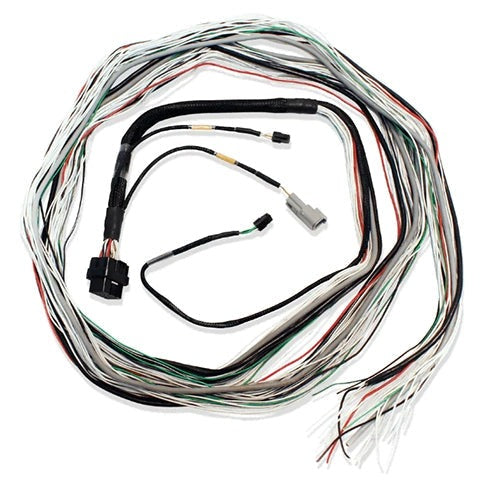 Fueltech FT600 Unterminated Harness (2001004001/3)