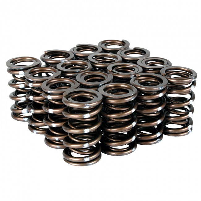Skunk2 Pro XP Valve Spring Set | 1999-2000 Honda Civic Si, 1994-1997 Honda Del Sol VTEC, 1992-2001 Acura Integra GS-R/Type-R (311-05-7350)