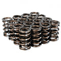 Skunk2 Pro XP Valve Spring Set | 1999-2000 Honda Civic Si, 1994-1997 Honda Del Sol VTEC, 1992-2001 Acura Integra GS-R/Type-R (311-05-7350)