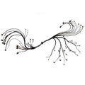 Fueltech LS550 V8 Complete Harness (2002007265)