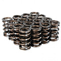 Skunk2 Pro XP K-Series Valve Spring Set | 2002-2006 Acura RSX, 2001-2005 Honda Civic Si, and 2004-2008 Acura TSX (311-05-7380)