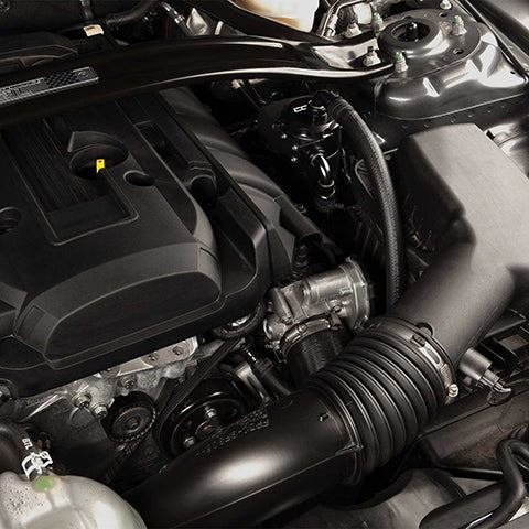 Cobb Tuning Air/Oil Separator | 2015-2023 Ford Mustang EcoBoost (8M1600)