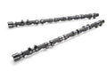 Tomei Procam Camshaft Set 262 | 1998-2002 Nissan GT-R (TA301A-NS05M)
