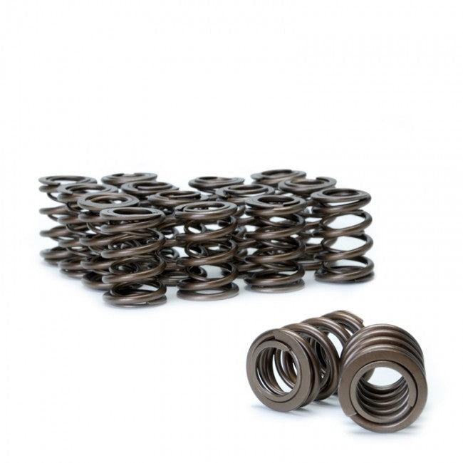 Skunk2 Alpha Valve Spring Set | 1990-2001 Acura Integra (311-05-1350)