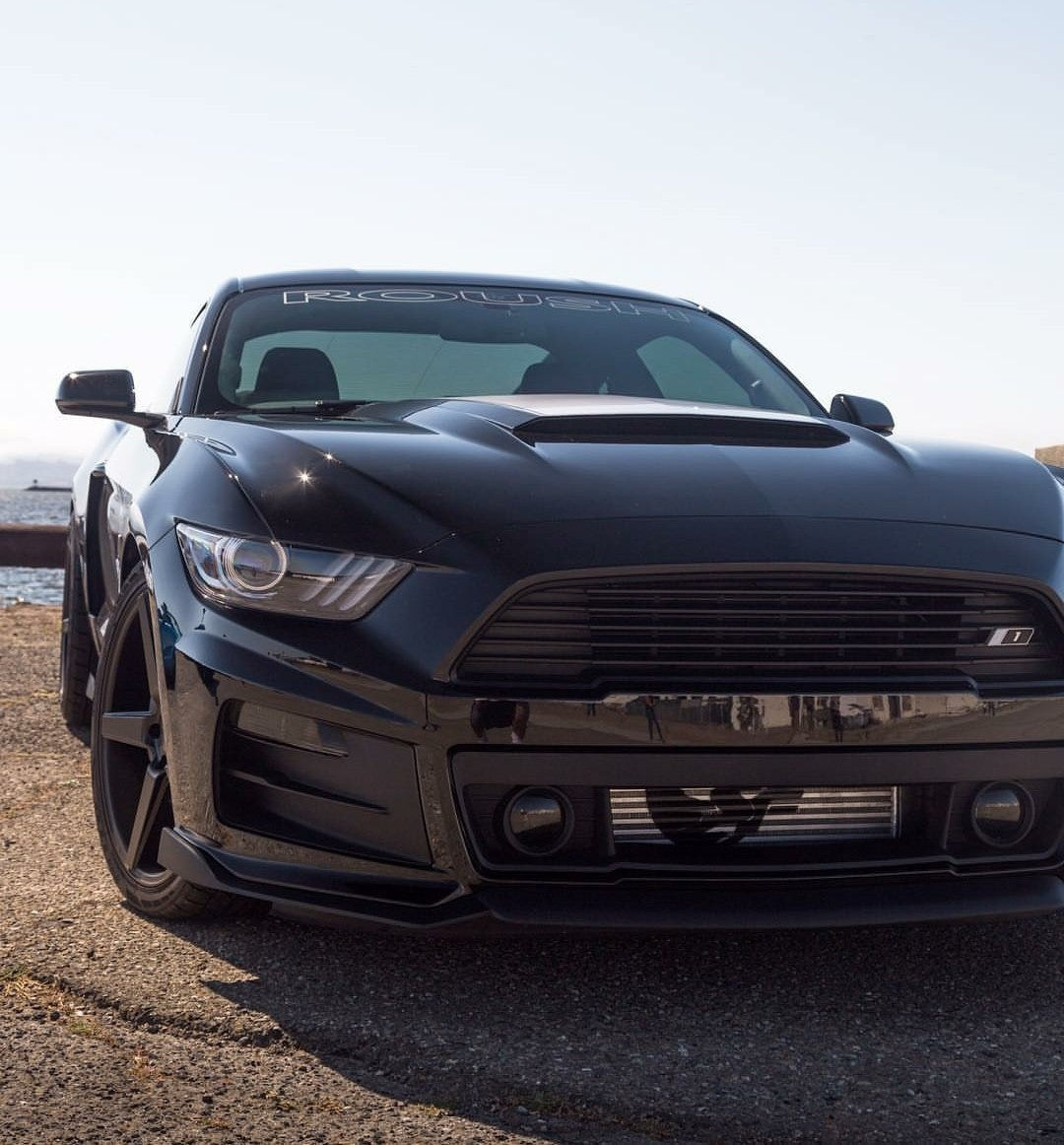 SpeedFactory Racing 600HP Dual Backdoor Intercooler | 2015-2022 Ford Mustang Ecoboost (SF-06-55-002)