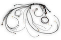 Haltech Terminated Harness | Nexus Rebel LS (HT-186500)