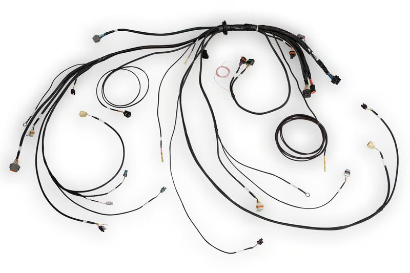 Haltech Terminated Harness | Nexus Rebel LS (HT-186500)