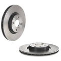 Brembo OEM Rear Brake Rotor | 2018-2020 Subaru STI (09.C829.11)