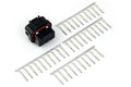 Haltech Plug And Pins Only - Amp 34 Pin Key 2 - 4 Row 4 Key Superseal | Nexus Series Ecus (HT-030011)