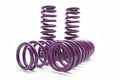 D2 Racing Lowering Springs Kit | 2000-2004 Volkswagen Golf / Jetta (D-SP-VO-09