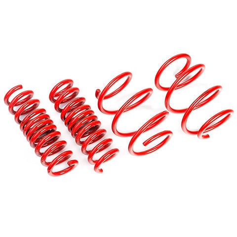 AST Lowering Springs | 1988-1995 BMW M5 (ASTLS-14-422)