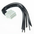 MegaSquirt MSPNP 12 Pin Center Connector (Conn-PNP-M12)