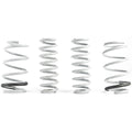 CTS Lowering Springs | 2022-2023 Volkswagen GTI (CTS-LS-009)