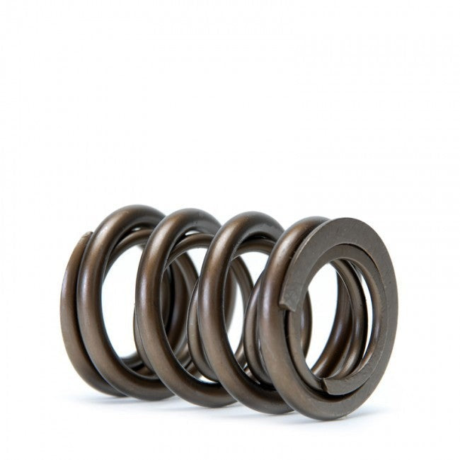 Skunk2 Alpha Valve Spring Set | 1990-2001 Acura Integra (311-05-1350)