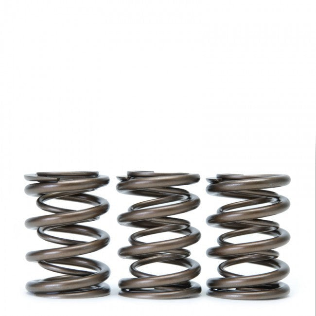 Skunk2 Alpha Valve Spring Set | 1990-2001 Acura Integra (311-05-1350)