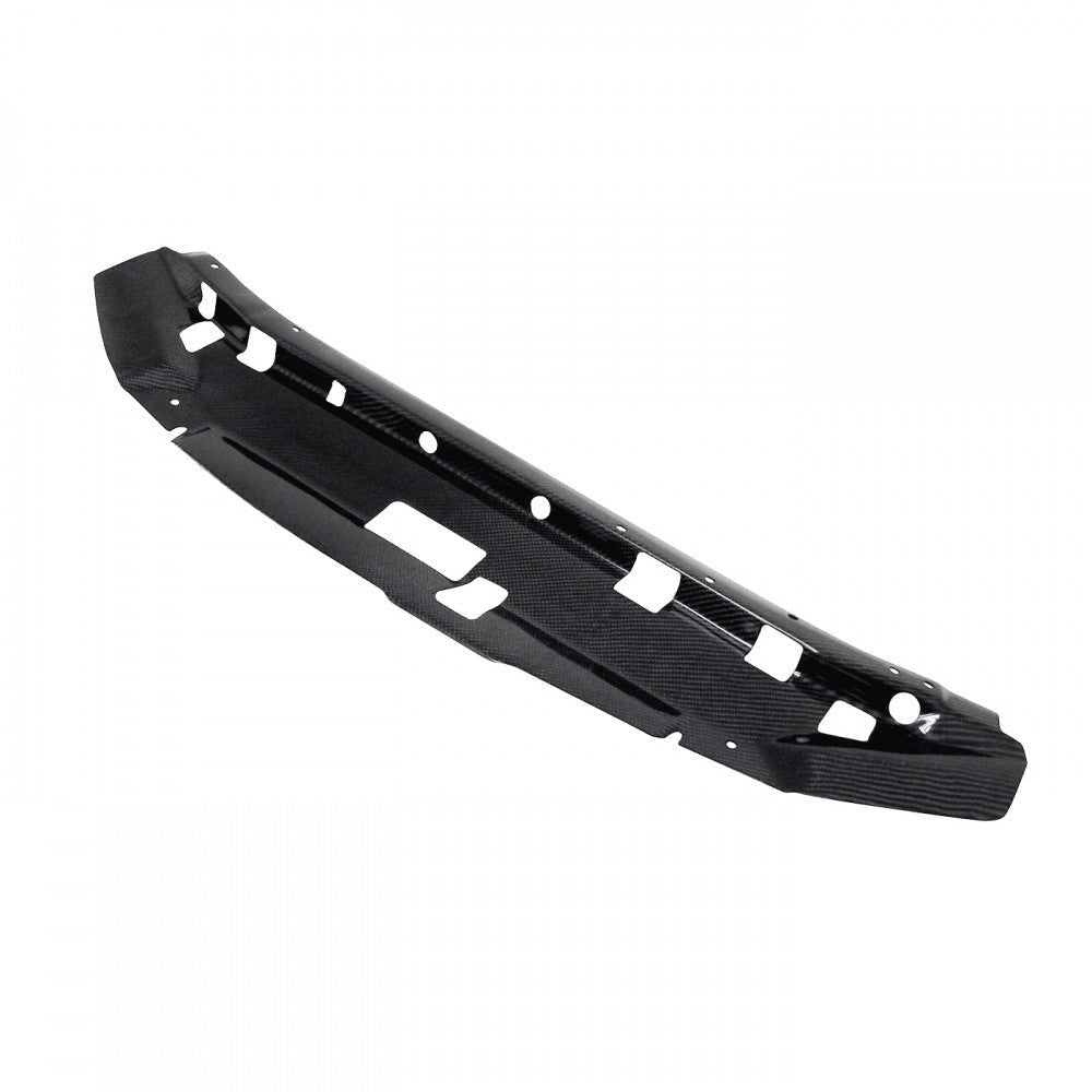 Seibon Carbon Fiber Cooling Plate | 1999-2001 Nissan Skyline R34 (CP9901NSR34)