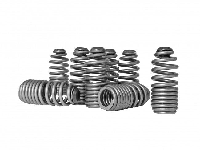 Skunk2 Lost Motion Assembly Spring Kit | 1999-2000 Honda Civic Si, 1994-1997 Honda Del Sol VTEC, 1992-2001 Acura Integra GS-R/Type-R (312-05-0200)