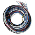 Fueltech FT450/550 Unterminated A Harness (2001005569/70)