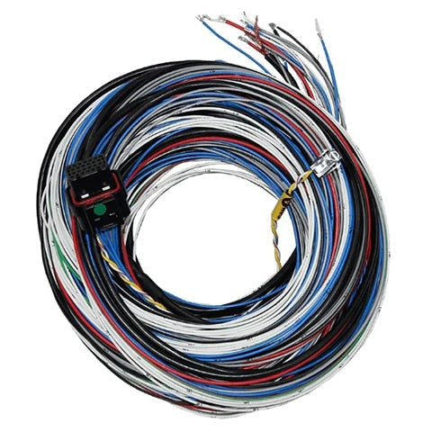 Fueltech FT450/550 Unterminated A Harness (2001005569/70)