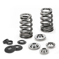 Supertech Conical Valve Spring Kit | VR30DDTT (SPRK-FM46-VR30-BE2)