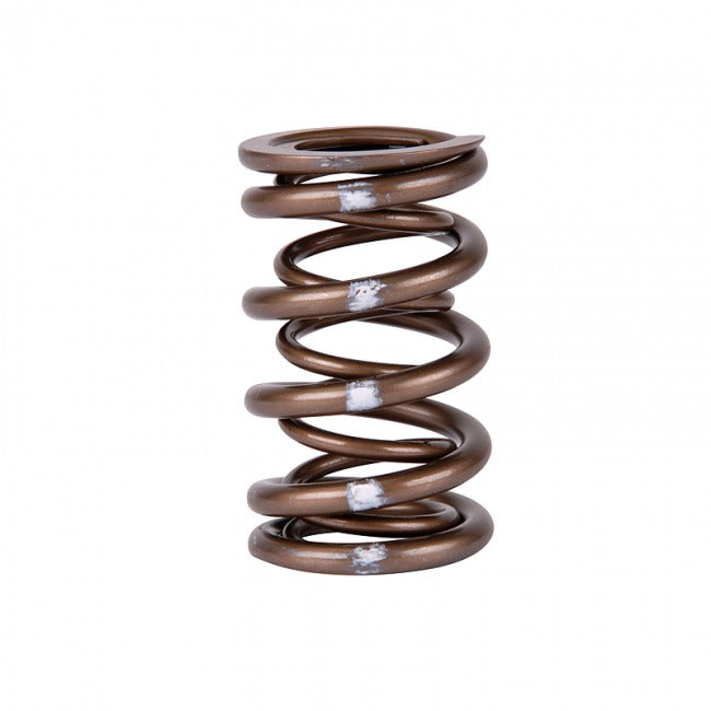 Skunk2 Pro XP Valve Spring Set | 1999-2000 Honda Civic Si, 1994-1997 Honda Del Sol VTEC, 1992-2001 Acura Integra GS-R/Type-R (311-05-7350)