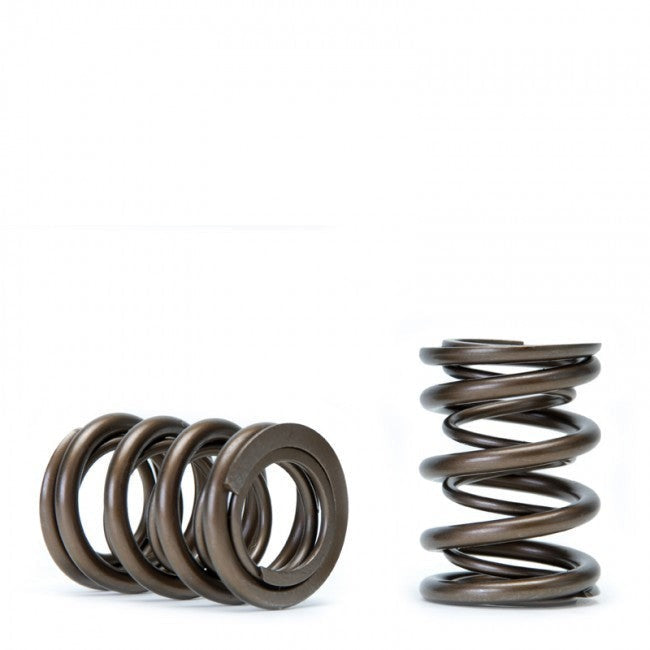 Skunk2 Alpha Valve Spring Set | 1990-2001 Acura Integra (311-05-1350)