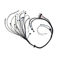 Fueltech FT450/550 4 Cylinder Universal A Harness (2002006505)