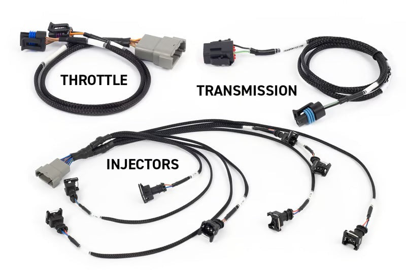 Haltech NEXUS Rebel LS | Gen III LS Engine (HT-220201)