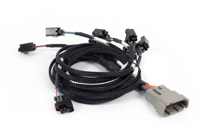 Haltech Multec 2 Injector Sub Harness | Nexus Rebel LS (HT-186503)